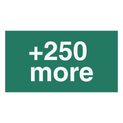 Green box with '+250 more' text