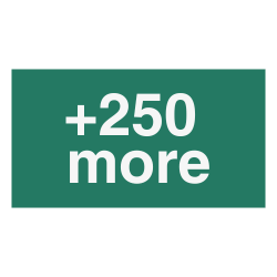 Green box with '+250 more' text