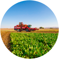 Tractor harvesting crops in sunny farm field