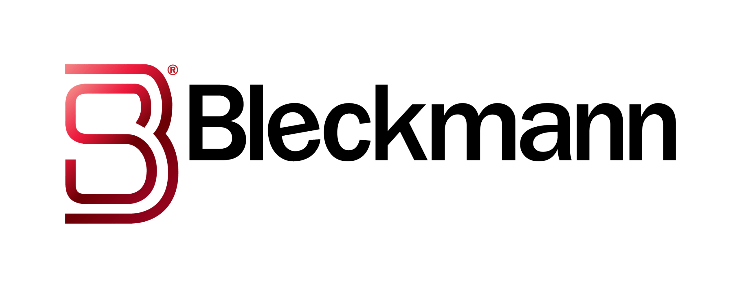 BSI Group logo in red and black