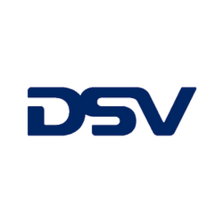 DSV Logo