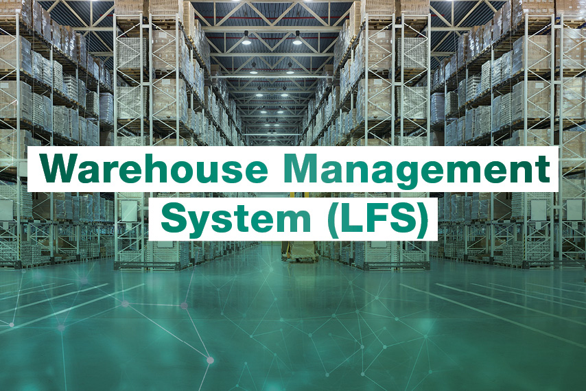 Warehouse Management System LFS in storage facility