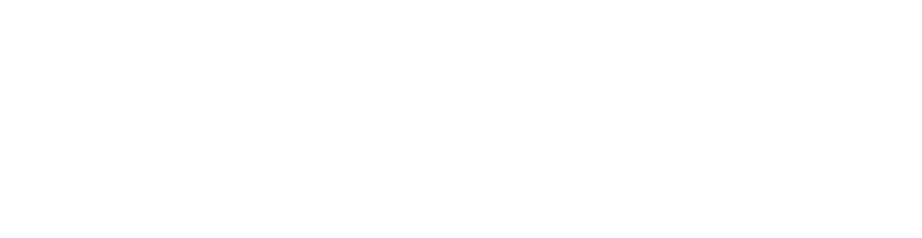 EUI Centre for a Digital Society logo