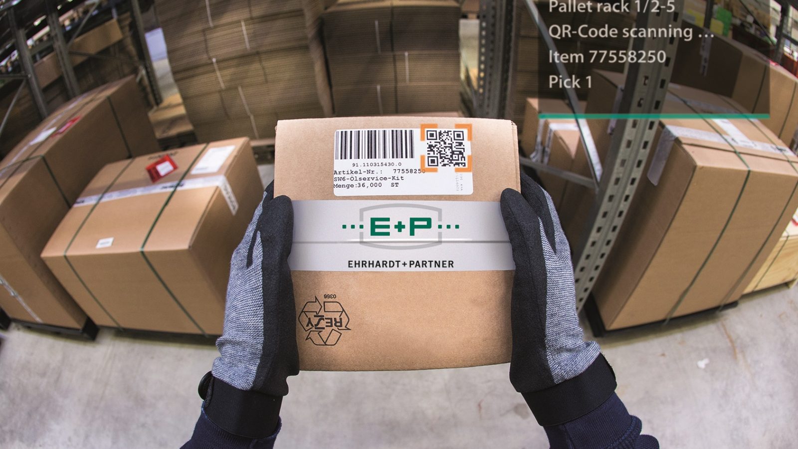 E_P_LFSglass